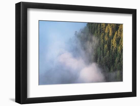 Fog in valley and slopes of Olympic Mountains. Olympic National Park, Washington State-Alan Majchrowicz-Framed Photographic Print