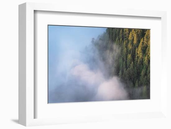 Fog in valley and slopes of Olympic Mountains. Olympic National Park, Washington State-Alan Majchrowicz-Framed Photographic Print