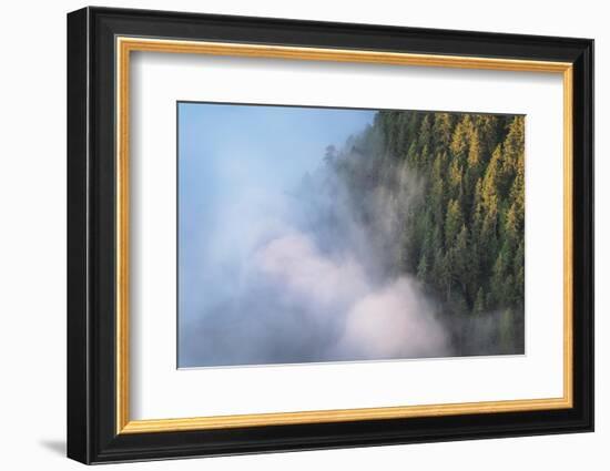 Fog in valley and slopes of Olympic Mountains. Olympic National Park, Washington State-Alan Majchrowicz-Framed Photographic Print