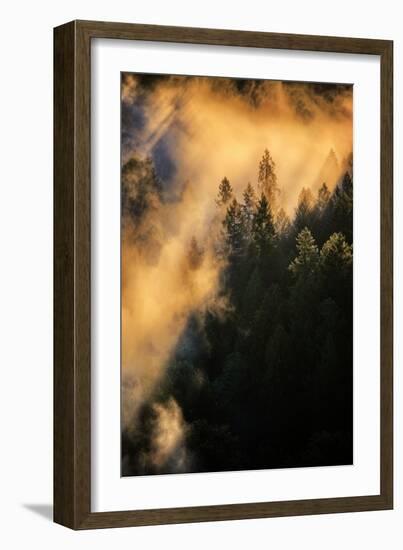 Fog & Light Mix Abstract Mount Hood Wilderness Sandy Oregon Pacific Northwest-Vincent James-Framed Photographic Print