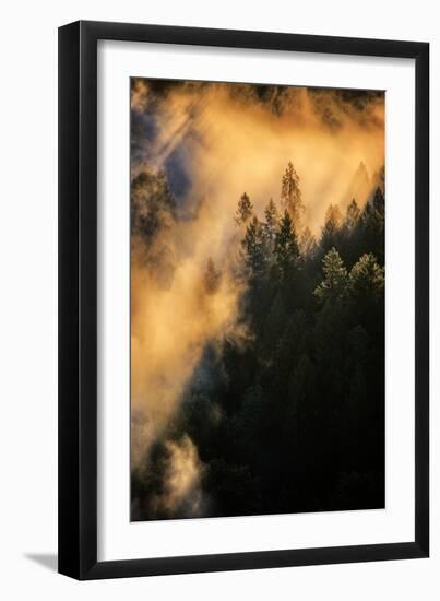 Fog & Light Mix Abstract Mount Hood Wilderness Sandy Oregon Pacific Northwest-Vincent James-Framed Photographic Print