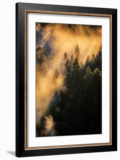 Fog & Light Mix Abstract Mount Hood Wilderness Sandy Oregon Pacific Northwest-Vincent James-Framed Photographic Print