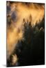 Fog & Light Mix Abstract Mount Hood Wilderness Sandy Oregon Pacific Northwest-Vincent James-Mounted Photographic Print