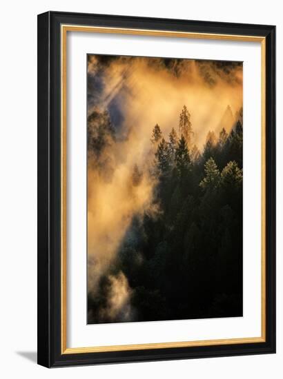 Fog & Light Mix Abstract Mount Hood Wilderness Sandy Oregon Pacific Northwest-Vincent James-Framed Photographic Print