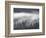 Fog Mingling with Evergreen Trees, Yellowstone Nat'l Park, UNESCO World Heritage Site, Wyoming, USA-James Hager-Framed Photographic Print