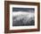 Fog Mingling with Evergreen Trees, Yellowstone Nat'l Park, UNESCO World Heritage Site, Wyoming, USA-James Hager-Framed Photographic Print