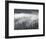 Fog Mingling with Evergreen Trees, Yellowstone Nat'l Park, UNESCO World Heritage Site, Wyoming, USA-James Hager-Framed Photographic Print