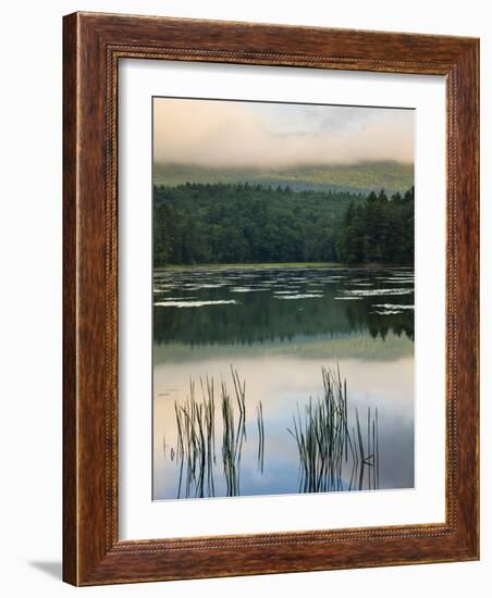 Fog obscures the summit of Mt Monadnock, Monadnock State Park, Jaffrey, New Hampshire, USA-Jerry & Marcy Monkman-Framed Photographic Print