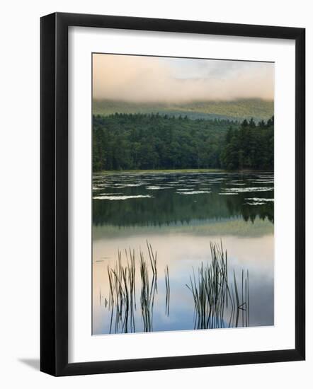 Fog obscures the summit of Mt Monadnock, Monadnock State Park, Jaffrey, New Hampshire, USA-Jerry & Marcy Monkman-Framed Photographic Print