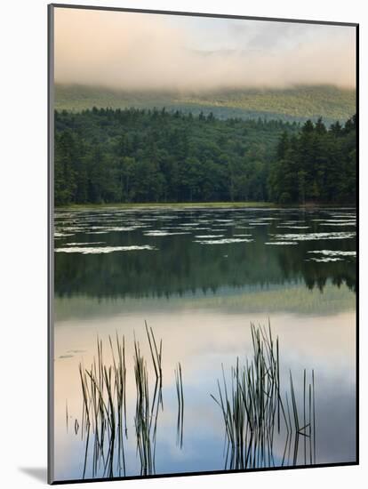 Fog obscures the summit of Mt Monadnock, Monadnock State Park, Jaffrey, New Hampshire, USA-Jerry & Marcy Monkman-Mounted Photographic Print
