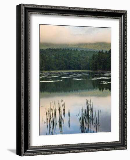 Fog obscures the summit of Mt Monadnock, Monadnock State Park, Jaffrey, New Hampshire, USA-Jerry & Marcy Monkman-Framed Photographic Print