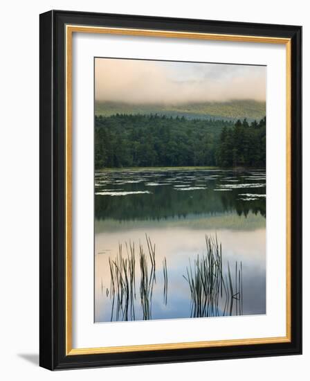 Fog obscures the summit of Mt Monadnock, Monadnock State Park, Jaffrey, New Hampshire, USA-Jerry & Marcy Monkman-Framed Photographic Print