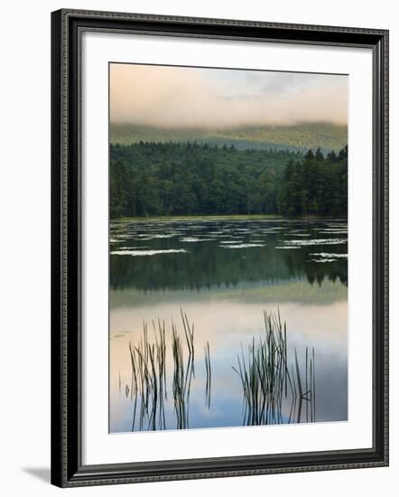 Fog obscures the summit of Mt Monadnock, Monadnock State Park, Jaffrey, New Hampshire, USA-Jerry & Marcy Monkman-Framed Photographic Print