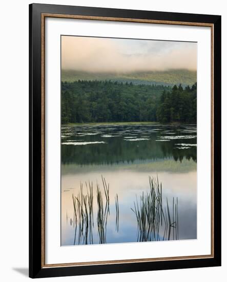 Fog obscures the summit of Mt Monadnock, Monadnock State Park, Jaffrey, New Hampshire, USA-Jerry & Marcy Monkman-Framed Photographic Print