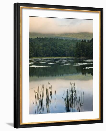 Fog obscures the summit of Mt Monadnock, Monadnock State Park, Jaffrey, New Hampshire, USA-Jerry & Marcy Monkman-Framed Photographic Print