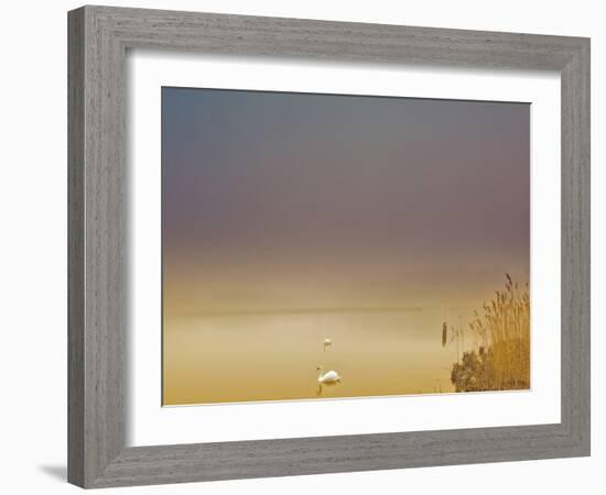 Fog of Peace-Geoffrey Ansel Agrons-Framed Photographic Print