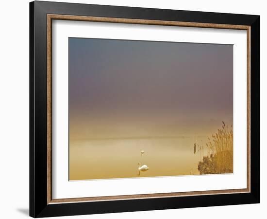 Fog of Peace-Geoffrey Ansel Agrons-Framed Photographic Print