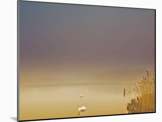 Fog of Peace-Geoffrey Ansel Agrons-Mounted Photographic Print