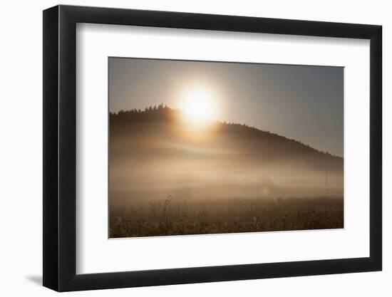 Fog on a Summer Morning-Simone Wunderlich-Framed Photographic Print