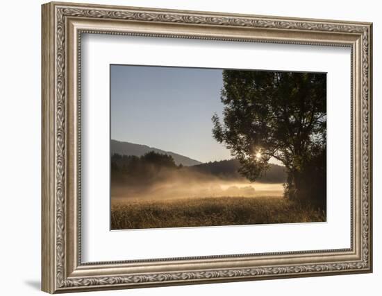 Fog on a Summer Morning-Simone Wunderlich-Framed Photographic Print