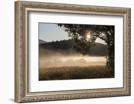 Fog on a Summer Morning-Simone Wunderlich-Framed Photographic Print