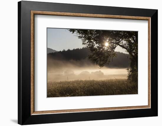 Fog on a Summer Morning-Simone Wunderlich-Framed Photographic Print