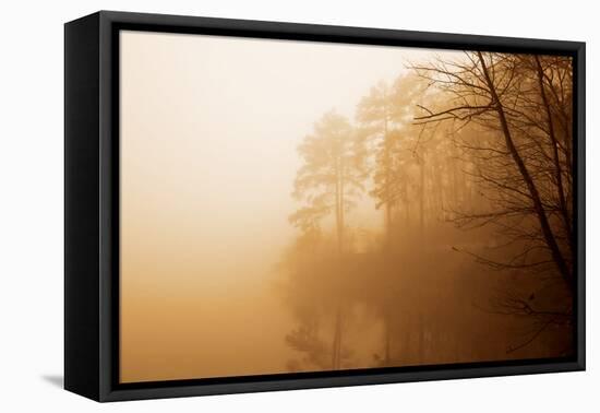 Fog on Shelly Lake I-Alan Hausenflock-Framed Premier Image Canvas