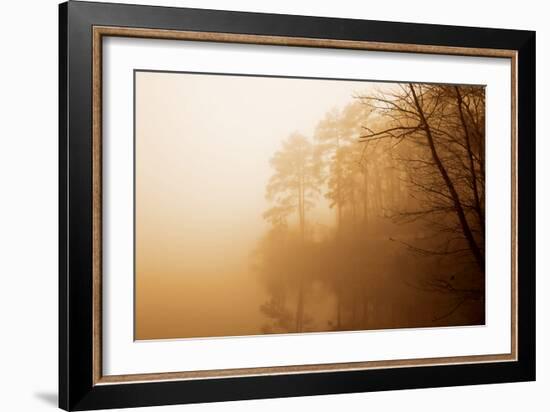 Fog on Shelly Lake I-Alan Hausenflock-Framed Photographic Print