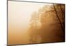 Fog on Shelly Lake I-Alan Hausenflock-Mounted Photographic Print