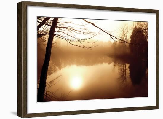 Fog on Shelly Lake II-Alan Hausenflock-Framed Photographic Print