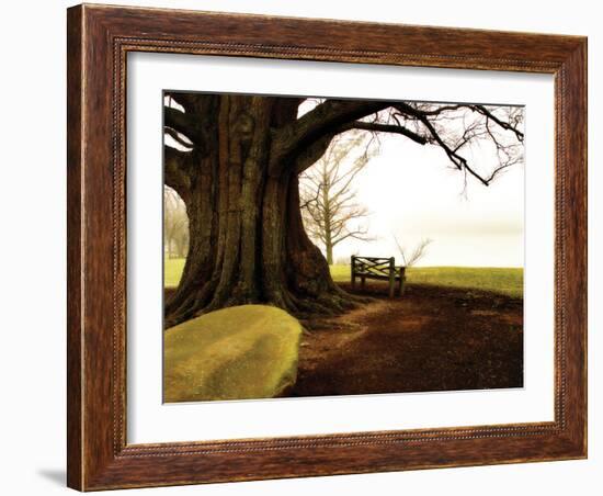 Fog on the James I-Alan Hausenflock-Framed Photographic Print