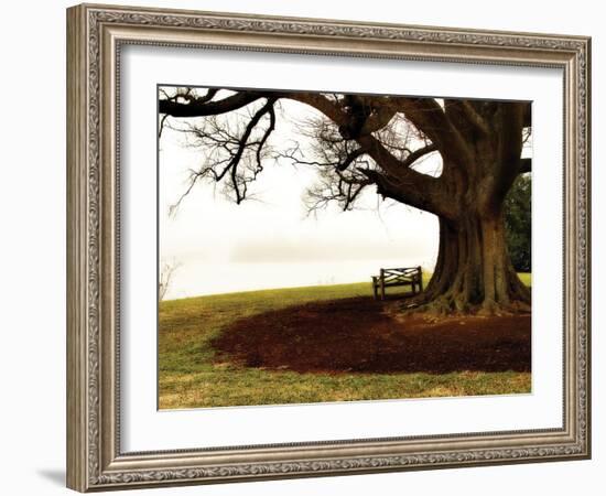 Fog on the James II-Alan Hausenflock-Framed Photographic Print