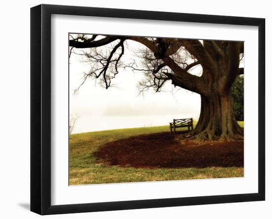 Fog on the James II-Alan Hausenflock-Framed Photographic Print