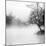 Fog on the Lake 1-Sally Linden-Mounted Photographic Print