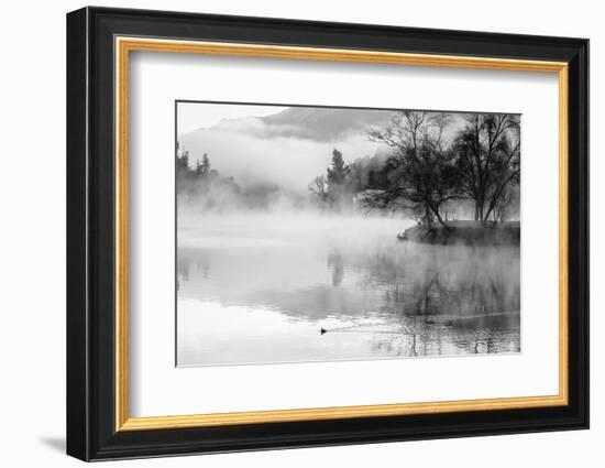 Fog on the Lake 2-Sally Linden-Framed Photographic Print