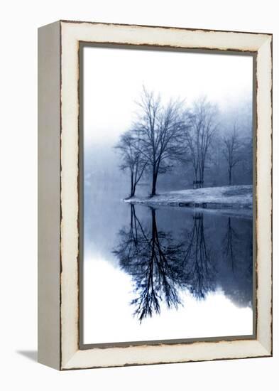 Fog on the Lake I-Alan Hausenflock-Framed Premier Image Canvas