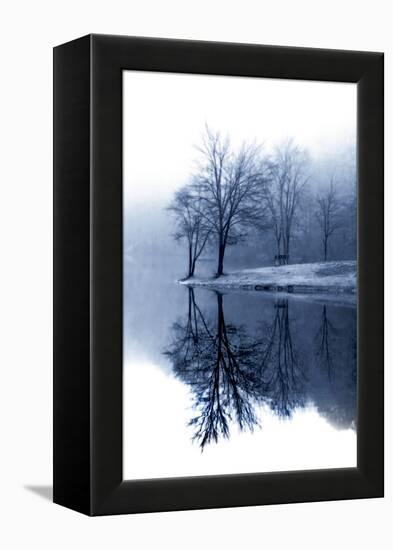 Fog on the Lake I-Alan Hausenflock-Framed Premier Image Canvas