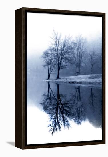 Fog on the Lake I-Alan Hausenflock-Framed Premier Image Canvas