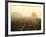 Fog on the Tracks-Jody Miller-Framed Photographic Print