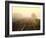 Fog on the Tracks-Jody Miller-Framed Photographic Print