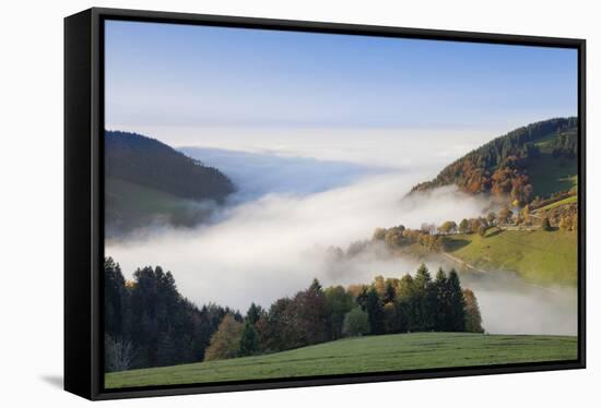 Fog on the Wiedener Eck, Black Forest, Baden-Wurttemberg, Germany-Markus Lange-Framed Stretched Canvas