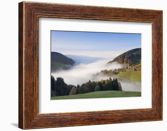 Fog on the Wiedener Eck, Black Forest, Baden-Wurttemberg, Germany-Markus Lange-Framed Photographic Print