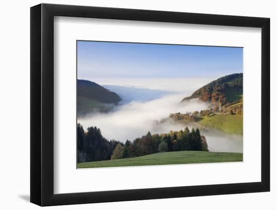 Fog on the Wiedener Eck, Black Forest, Baden-Wurttemberg, Germany-Markus Lange-Framed Photographic Print