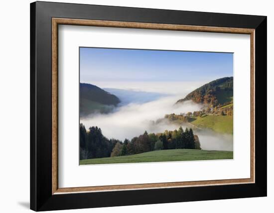 Fog on the Wiedener Eck, Black Forest, Baden-Wurttemberg, Germany-Markus Lange-Framed Photographic Print