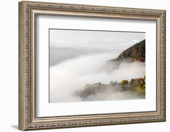 Fog on the Wiedener Eck, Black Forest, Baden-Wurttemberg, Germany-Markus Lange-Framed Photographic Print