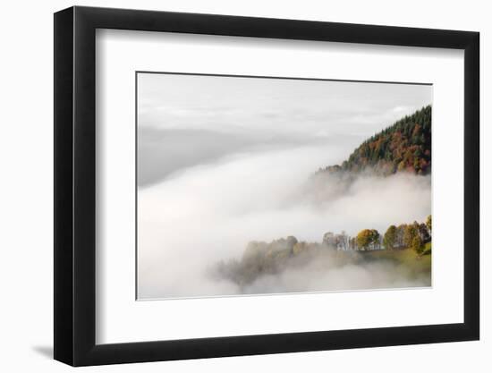 Fog on the Wiedener Eck, Black Forest, Baden-Wurttemberg, Germany-Markus Lange-Framed Photographic Print