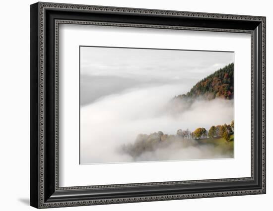 Fog on the Wiedener Eck, Black Forest, Baden-Wurttemberg, Germany-Markus Lange-Framed Photographic Print