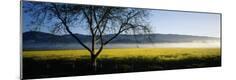 Photographic Print