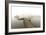 Fog Over Horseshoe Pond-5fishcreative-Framed Giclee Print