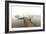 Fog Over Horseshoe Pond-5fishcreative-Framed Giclee Print